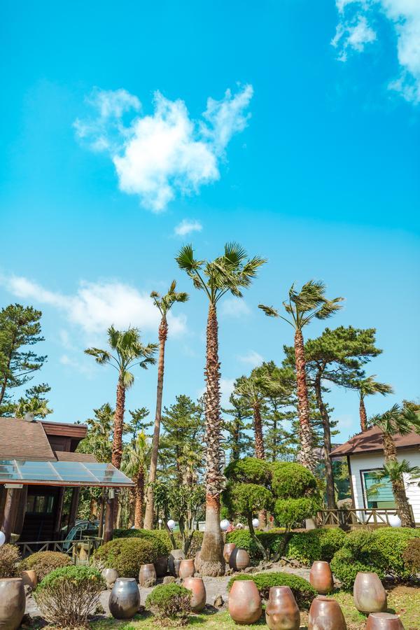 Bijarim Resort Jeju Eksteriør billede
